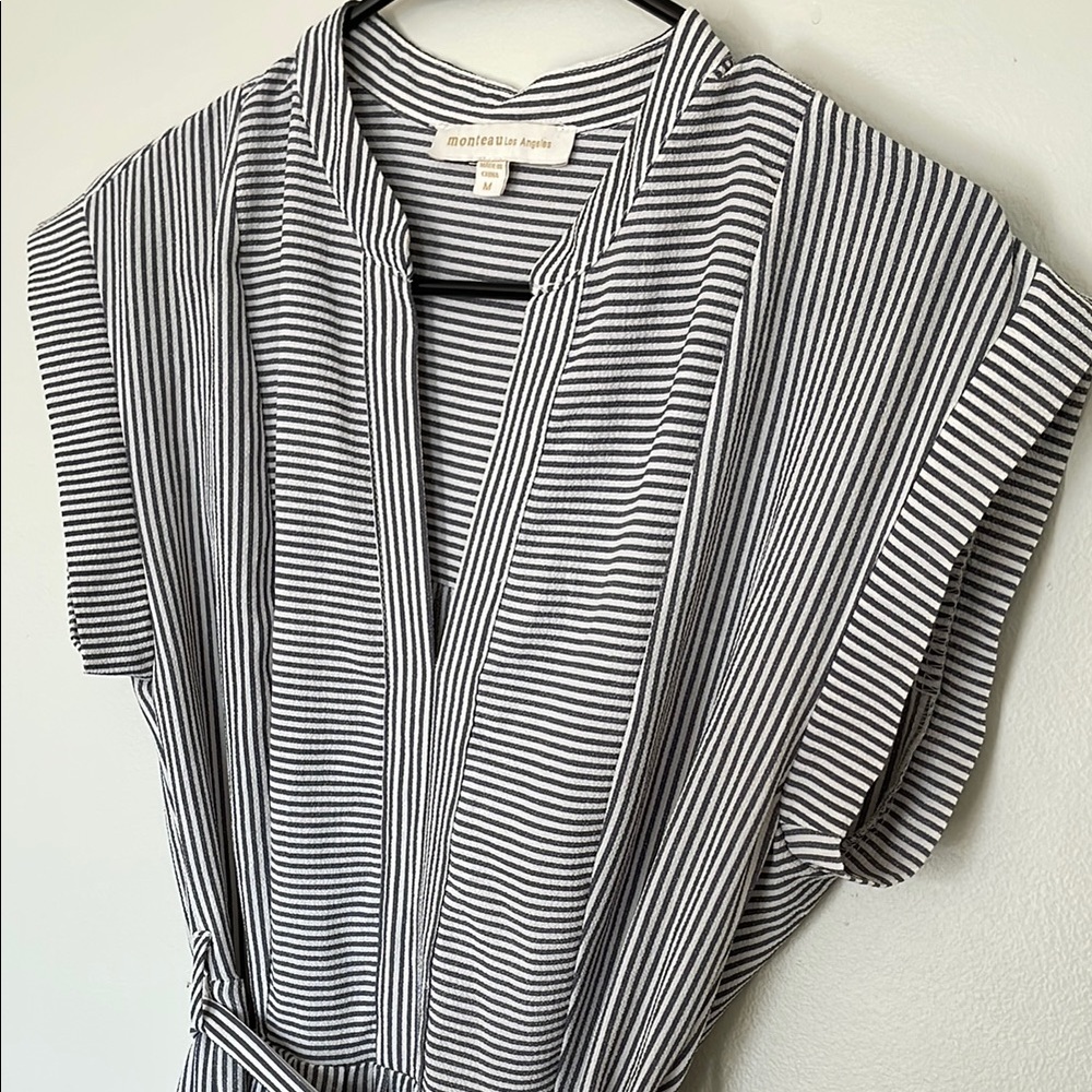Monteau Striped Dress